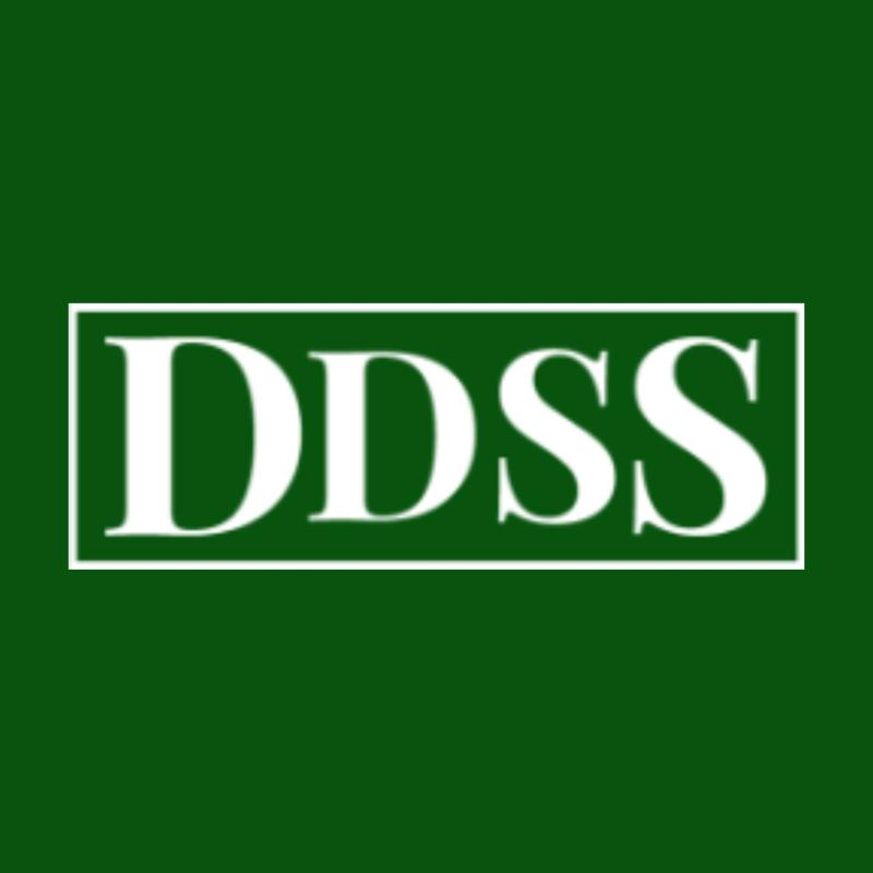 Davidow, Davidow, Siegel & Stern, LLP